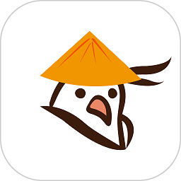 星空官方介绍其全球布局与市场战略
